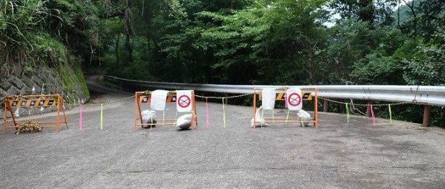 【表丹沢県民の森】三廻部～上秦野林道の通行止【登山口ナビ】