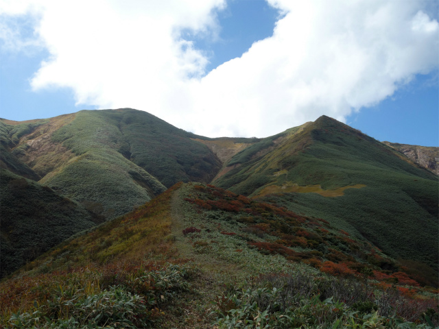 巻機山（裏巻機新道～割引岳）登山口コースガイド【登山口ナビ】