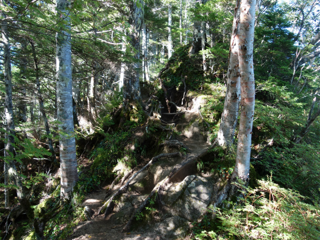 空木岳（池山尾根ルート）登山口コースガイド 痩せ尾根【登山口ナビ】