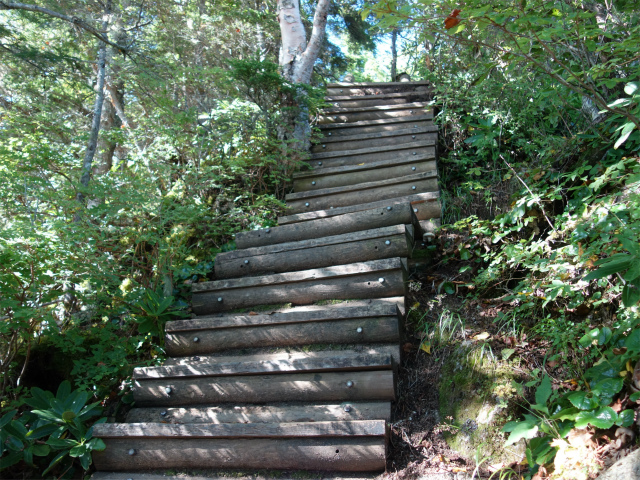 空木岳（池山尾根ルート）登山口コースガイド 迷い尾根階段【登山口ナビ】