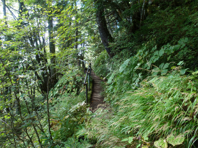 空木岳（池山尾根ルート）登山口コースガイド トラバース桟道【登山口ナビ】