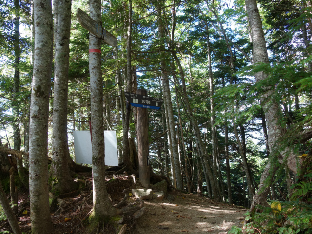 空木岳（池山尾根ルート）登山口コースガイド 迷い尾根指導標【登山口ナビ】