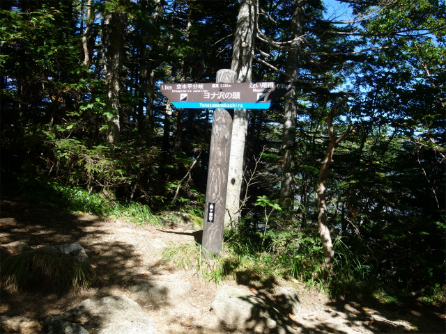 空木岳（池山尾根ルート）登山口コースガイド ヨナ沢の頭【登山口ナビ】