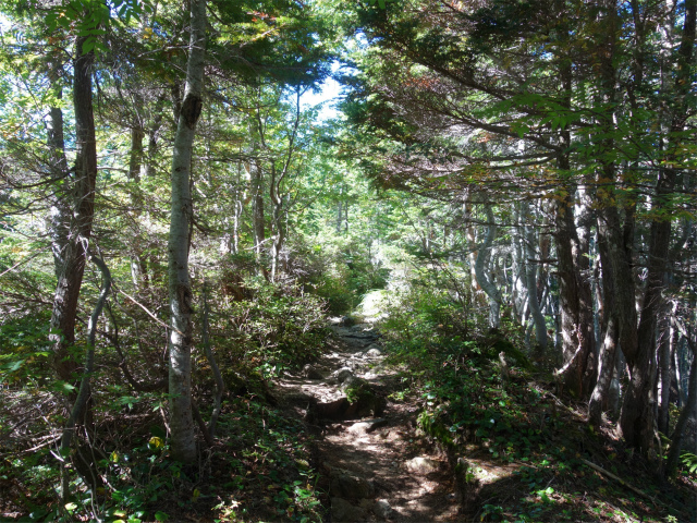 空木岳（池山尾根ルート）登山口コースガイド なだらかな稜線【登山口ナビ】