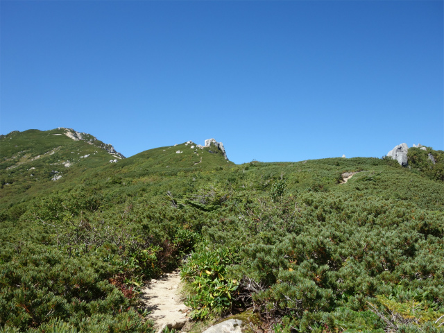 空木岳（池山尾根ルート）登山口コースガイド【登山口ナビ】