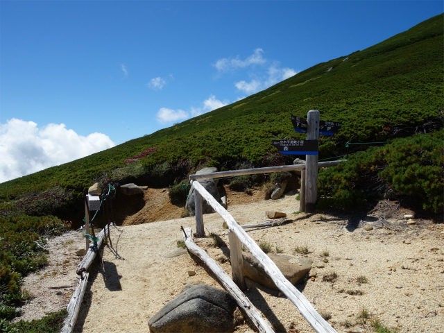 空木岳（池山尾根ルート）登山口コースガイド 空木平分岐【登山口ナビ】