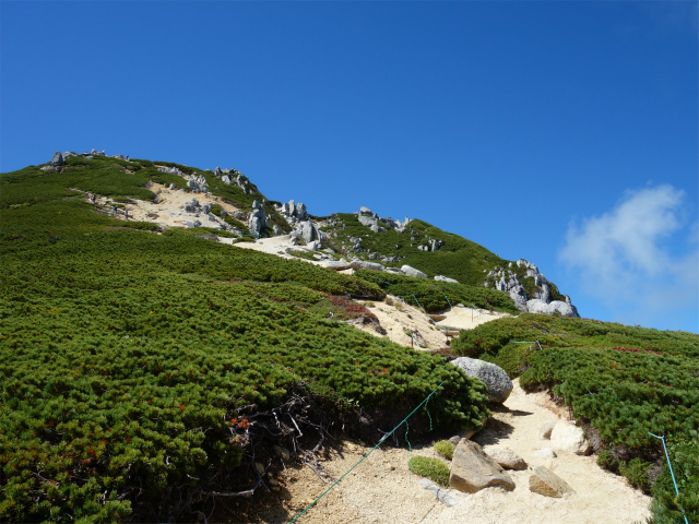 空木岳（池山尾根ルート）登山口コースガイド 山頂直下の急登【登山口ナビ】