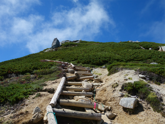 空木岳（池山尾根ルート）登山口コースガイド 山頂直下の階段【登山口ナビ】