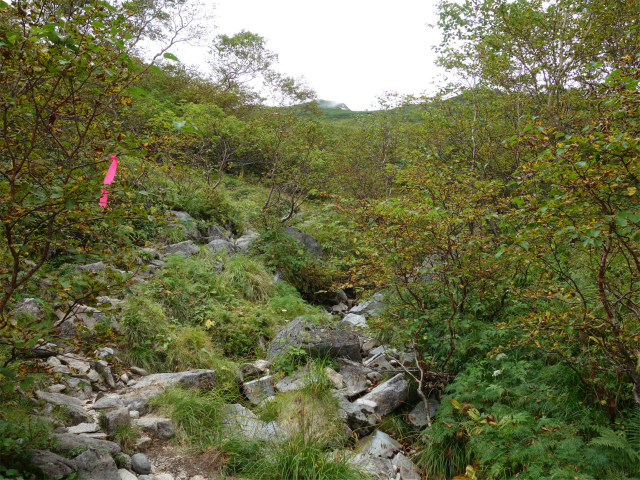 空木岳（池山尾根ルート）登山口コースガイド 右岸【登山口ナビ】