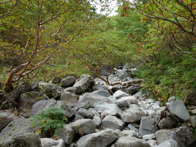 空木岳（池山尾根ルート）登山口コースガイド 沢筋【登山口ナビ】