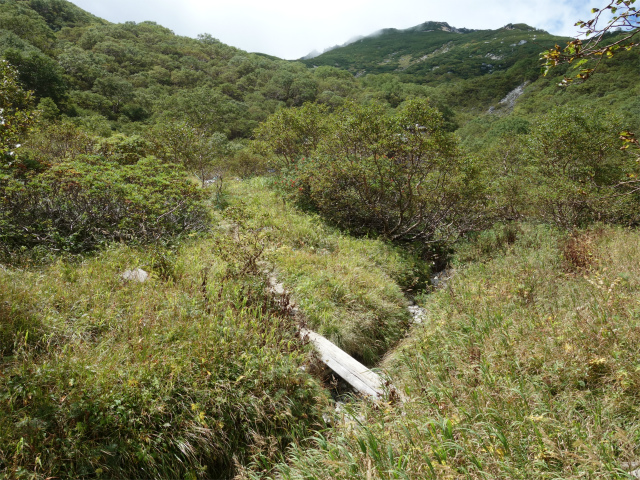 空木岳（池山尾根ルート）登山口コースガイド 小沢【登山口ナビ】