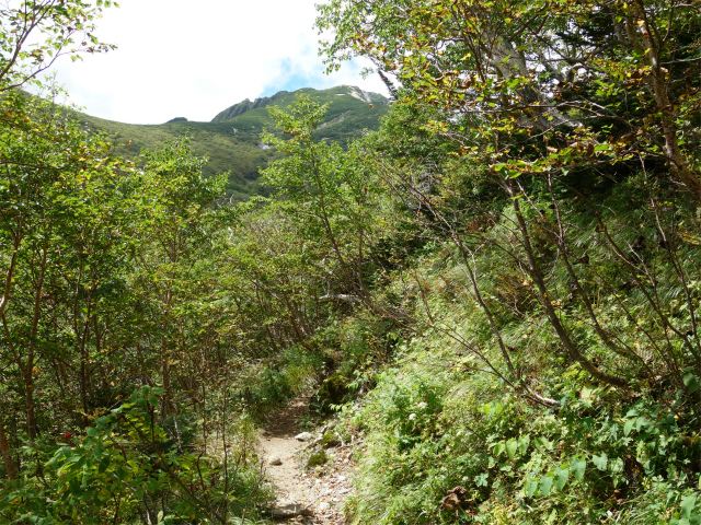 空木岳（池山尾根ルート）登山口コースガイド 空木平トラバース【登山口ナビ】