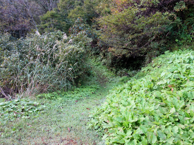 巻機山（裏巻機新道～割引岳）登山口コースガイド 貯水池【登山口ナビ】