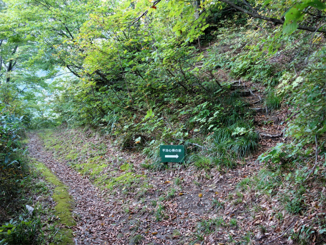 巻機山（裏巻機新道～割引岳）登山口コースガイド 不治心得の岩分岐【登山口ナビ】