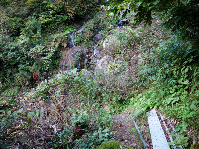 巻機山（裏巻機新道～割引岳）登山口コースガイド 無名の沢の渡渉【登山口ナビ】