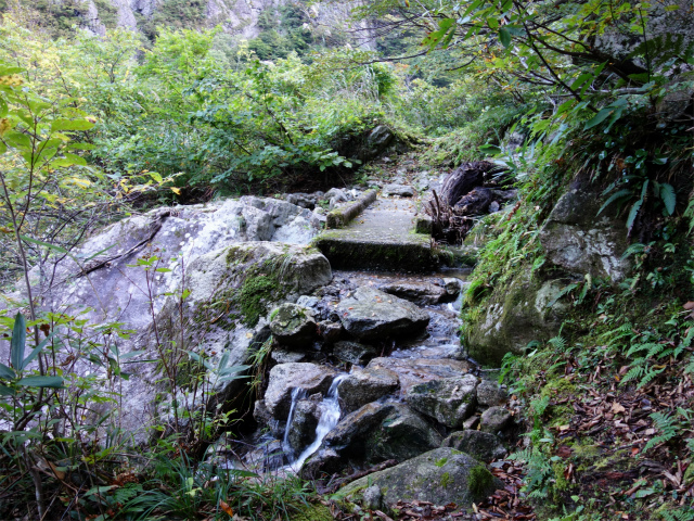 巻機山（裏巻機新道～割引岳）登山口コースガイド 石橋【登山口ナビ】