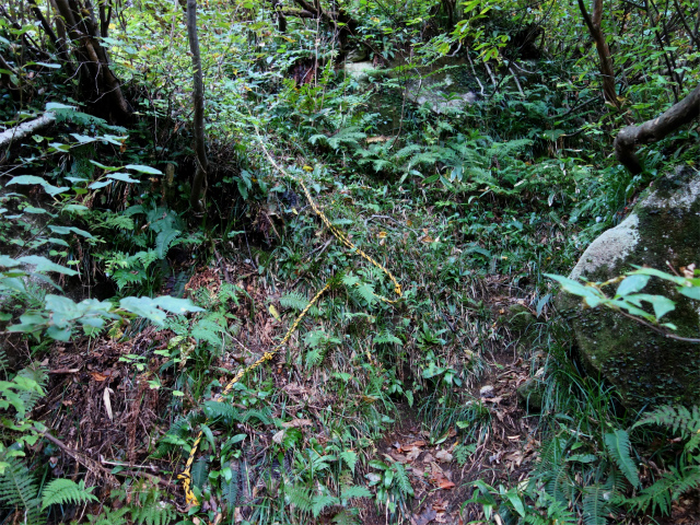 巻機山（裏巻機新道～割引岳）登山口コースガイド 急登【登山口ナビ】