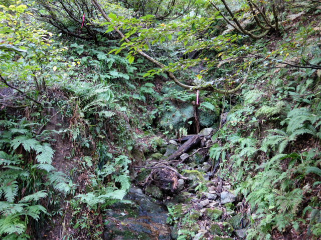 巻機山（裏巻機新道～割引岳）登山口コースガイド 小沢【登山口ナビ】