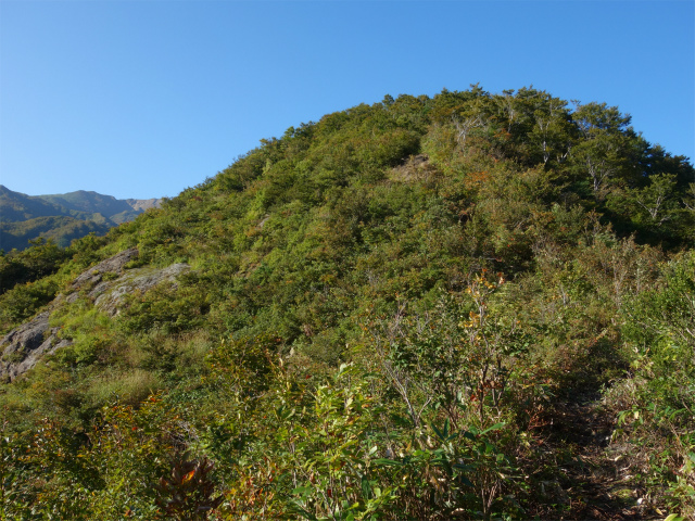 巻機山（裏巻機新道～割引岳）登山口コースガイド【登山口ナビ】