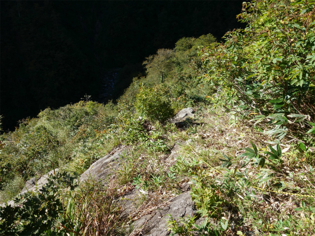 巻機山（裏巻機新道～割引岳）登山口コースガイド 大窪沢上部の急斜面【登山口ナビ】