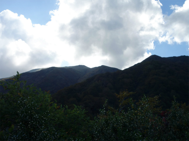 巻機山（裏巻機新道～割引岳）登山口コースガイド 尾根の肩から牛ヶ岳の眺望【登山口ナビ】