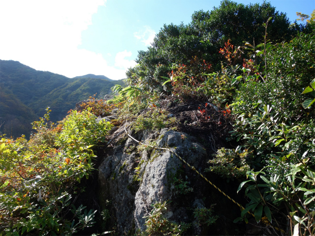 巻機山（裏巻機新道～割引岳）登山口コースガイド 露岩【登山口ナビ】