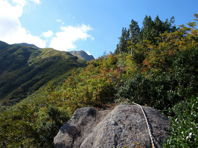 巻機山（裏巻機新道～割引岳）登山口コースガイド 六合目の小ピーク【登山口ナビ】