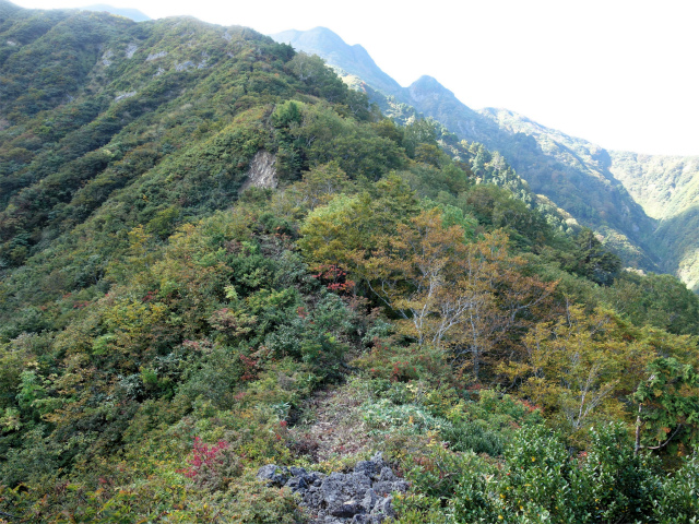 巻機山（裏巻機新道～割引岳）登山口コースガイド 六合目【登山口ナビ】