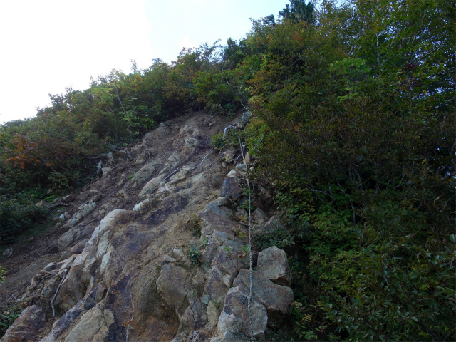 巻機山（裏巻機新道～割引岳）登山口コースガイド 崩落斜面脇の急登【登山口ナビ】