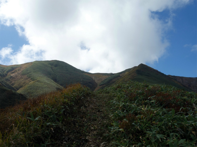 巻機山（裏巻機新道～割引岳）登山口コースガイド【登山口ナビ】