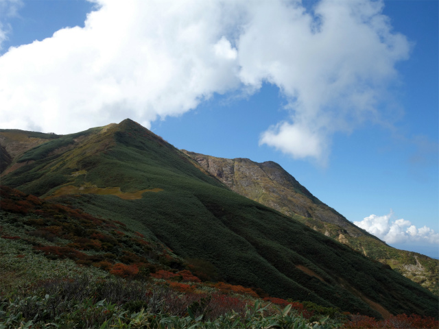 巻機山（裏巻機新道～割引岳）登山口コースガイド 巻機山の稜線一望【登山口ナビ】