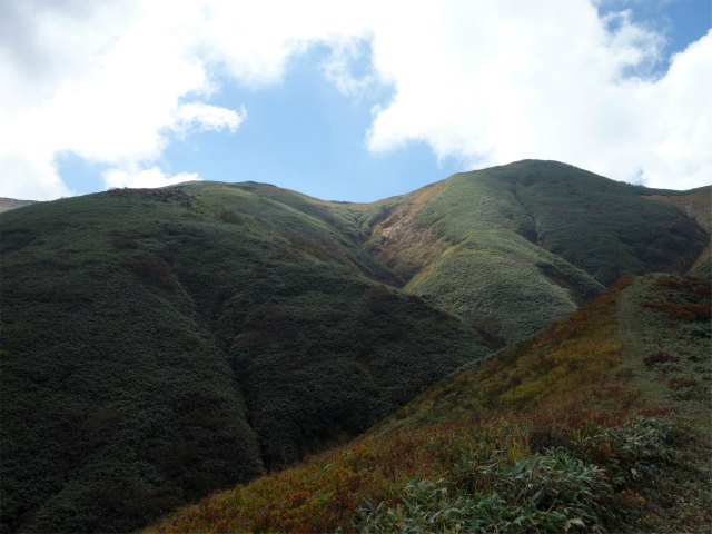 巻機山（裏巻機新道～割引岳）登山口コースガイド 巻機山の稜線一望【登山口ナビ】