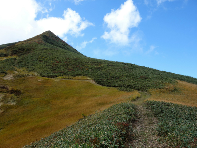 巻機山（裏巻機新道～割引岳）登山口コースガイド 円錐形のピーク【登山口ナビ】