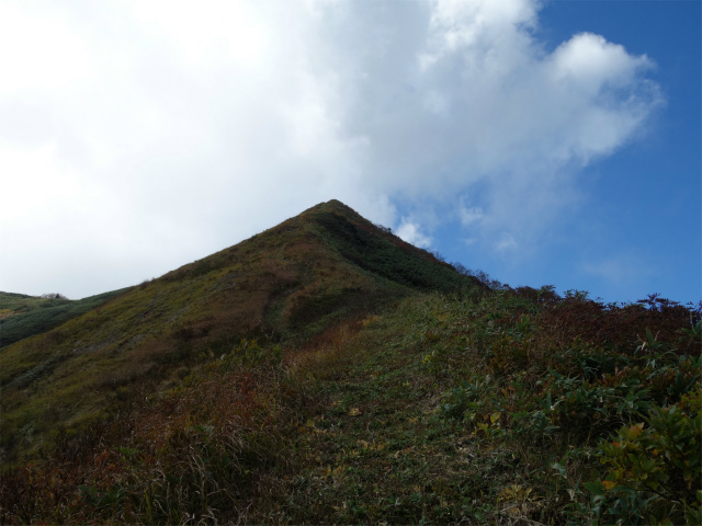 巻機山（裏巻機新道～割引岳）登山口コースガイド 円錐形のピーク【登山口ナビ】