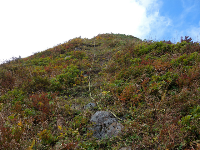 巻機山（裏巻機新道～割引岳）登山口コースガイド 円錐形のピーク直下【登山口ナビ】