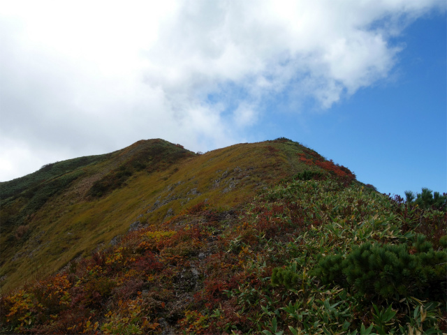 巻機山（裏巻機新道～割引岳）登山口コースガイド【登山口ナビ】