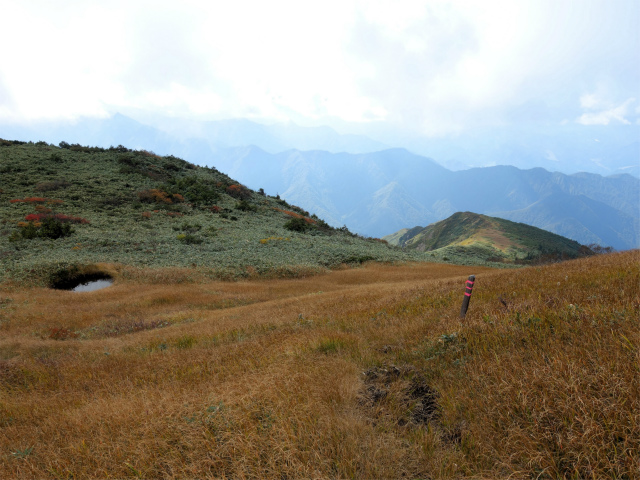 巻機山（裏巻機新道～割引岳）登山口コースガイド 南入沢分岐【登山口ナビ】