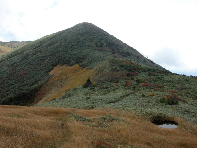 巻機山（裏巻機新道～割引岳）登山口コースガイド 南入沢分岐【登山口ナビ】