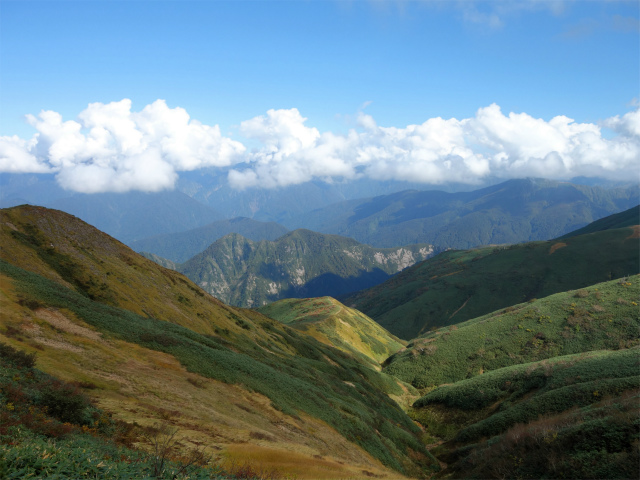 巻機山（裏巻機新道～割引岳）登山口コースガイド【登山口ナビ】