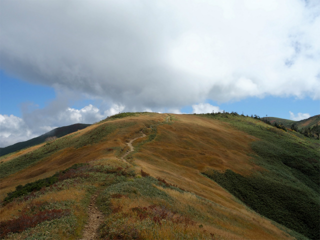 巻機山（裏巻機新道～割引岳）登山口コースガイド 鞍部【登山口ナビ】