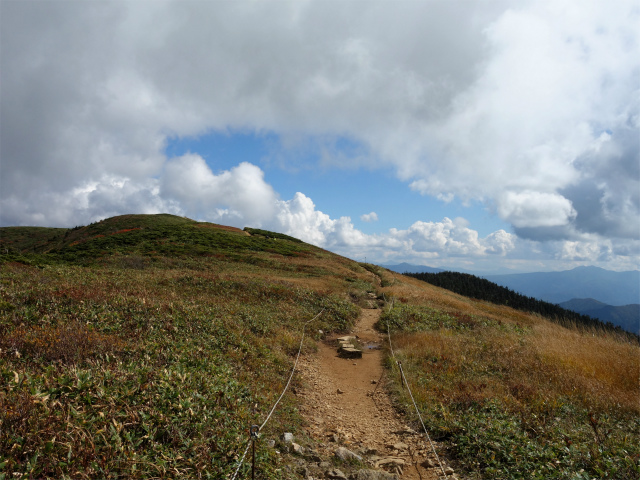 巻機山（裏巻機新道～割引岳）登山口コースガイド なだらかな稜線【登山口ナビ】