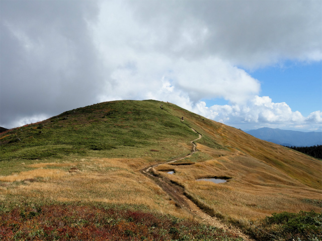 巻機山（裏巻機新道～割引岳）登山口コースガイド 稜線の池塘【登山口ナビ】