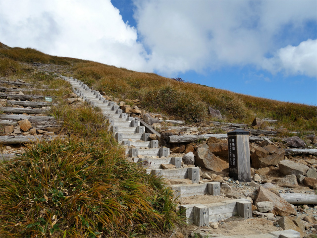 巻機山（井戸尾根～前巻機山）登山口コースガイド 八合目【登山口ナビ】