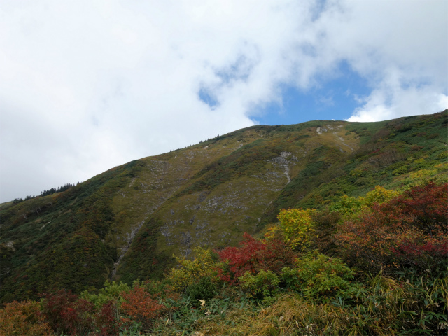 巻機山（井戸尾根～前巻機山）登山口コースガイド【登山口ナビ】