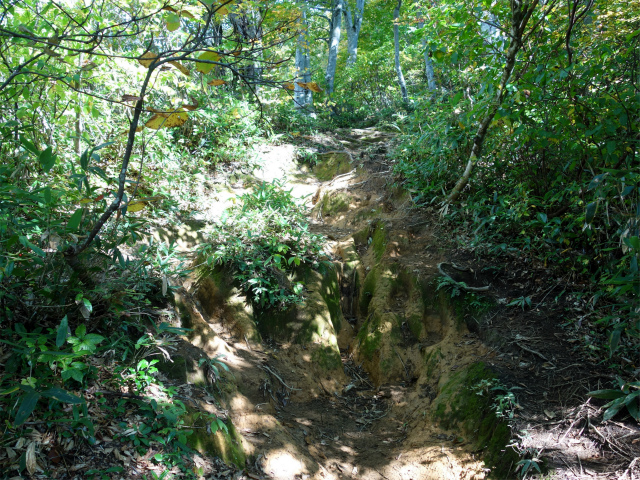 巻機山（井戸尾根～前巻機山）登山口コースガイド【登山口ナビ】