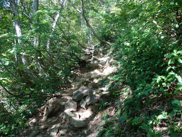 巻機山（井戸尾根～前巻機山）登山口コースガイド 井戸の壁【登山口ナビ】