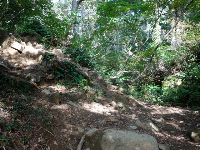 巻機山（井戸尾根～前巻機山）登山口コースガイド 3合目【登山口ナビ】