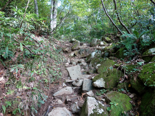 巻機山（井戸尾根～前巻機山）登山口コースガイド 岩【登山口ナビ】