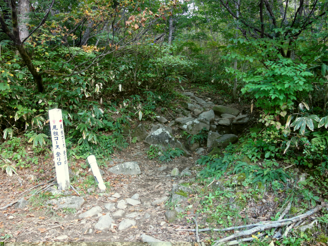 巻機山（井戸尾根～前巻機山）登山口コースガイド 登山道入口【登山口ナビ】