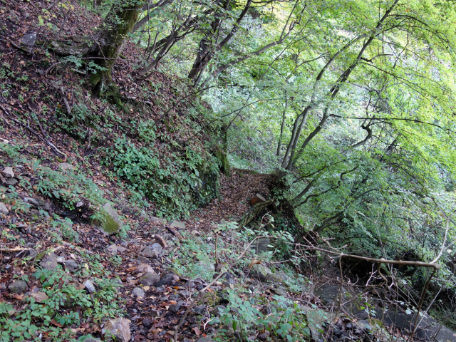 表妙義・中間道（石門めぐり～妙義神社） 登山口コースガイド アップダウン【登山口ナビ】